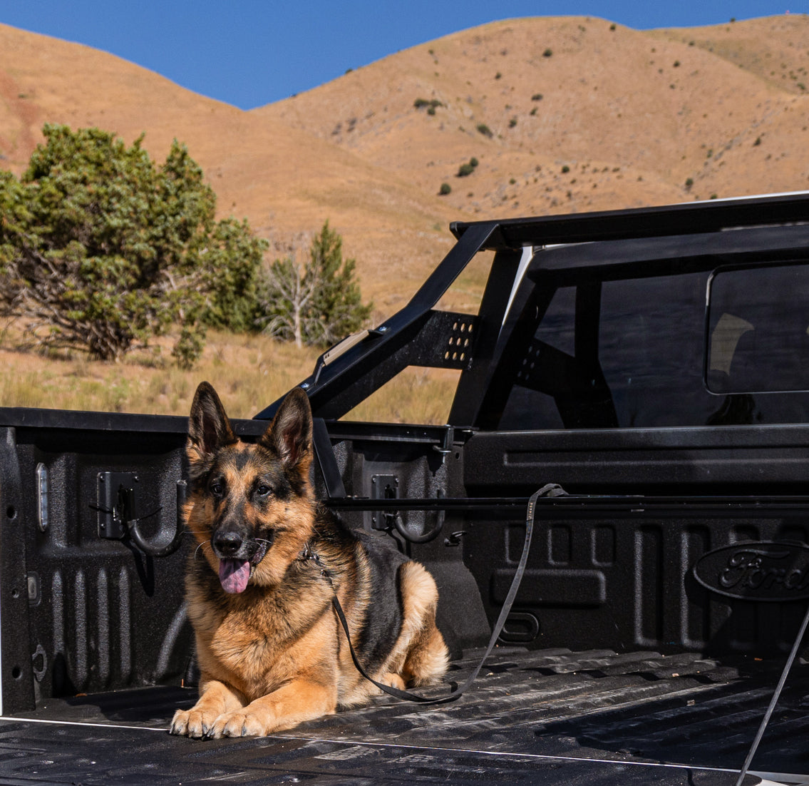 TrailBreaker Desert Dog Leash Mount